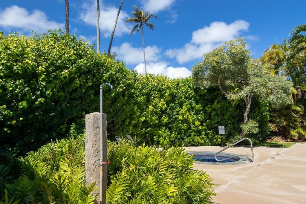 Lovely 1 Bedroom With Kitchen, Free Wifi & Parking Kapa'a Exterior photo